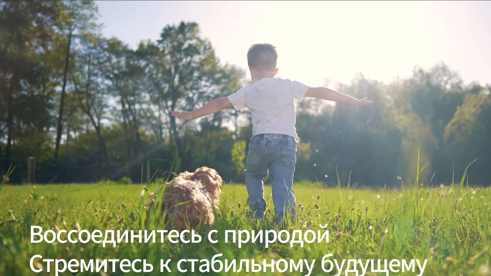 Ruizhi Machinery —Расширяйте возможности, управляй будущем